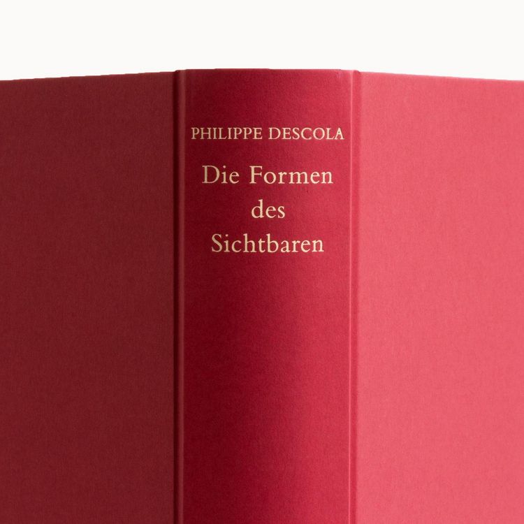 Produktbild: Die Formen des Sichtbaren