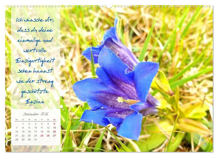 Produktbild: Bl&uuml;hende Herzensw&uuml;nsche f&uuml;r Dich! (hochwertiger Premium Wandkalender 2026 DIN A2 quer), Kunstdruck in Hochglanz