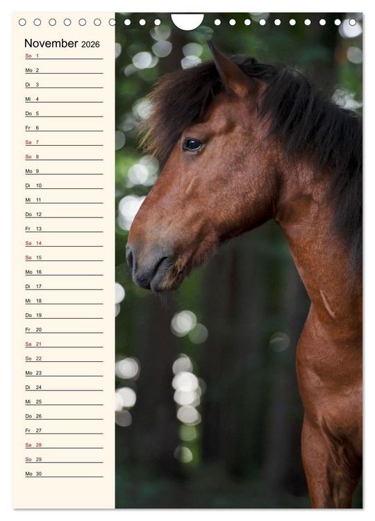 Produktbild: Isl&auml;nder Geburtstagskalender (Wandkalender 2026 DIN A4 hoch), CALVENDO Monatskalender