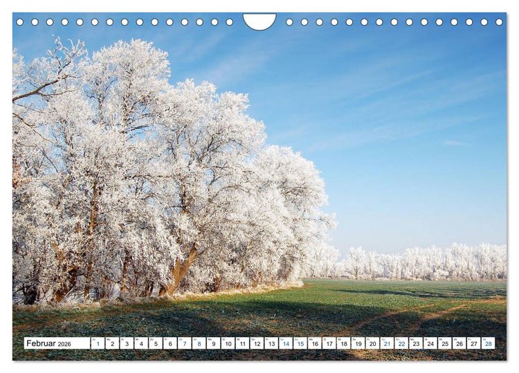 Produktbild: Land Brandenburg - Natur und Erholung im m&auml;rkischen Land (Wandkalender 2026 DIN A4 quer), CALVENDO Monatskalender