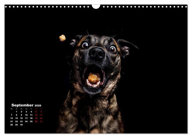 Produktbild: Leckerchen! (Wandkalender 2026 DIN A3 quer), CALVENDO Monatskalender