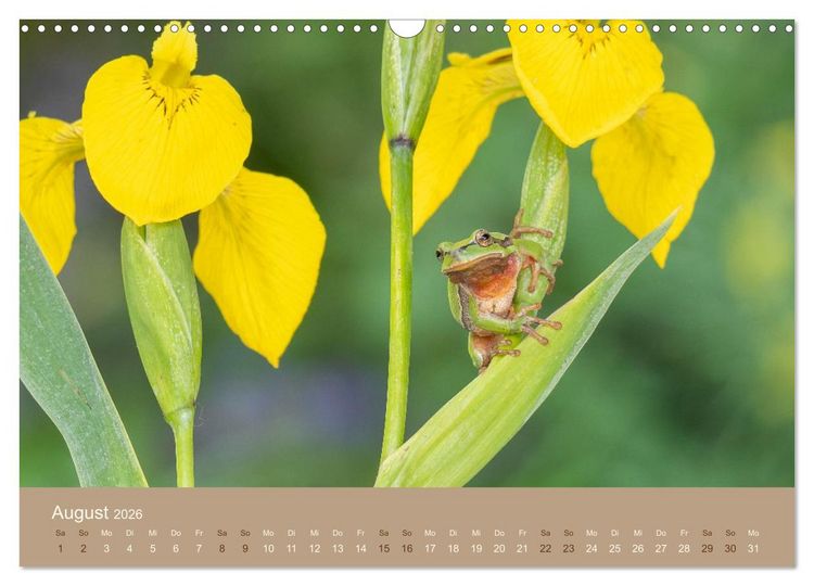 Produktbild: Jenseits der Z&auml;une (Wandkalender 2026 DIN A3 quer), CALVENDO Monatskalender
