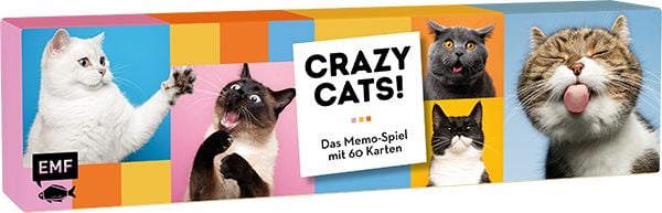 Memo-Spiel: Crazy cats!