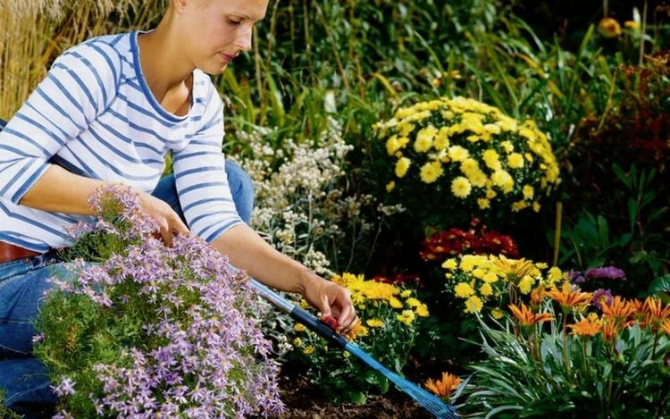 Produktbild: Gardena combisystem Verl&auml;ngerungsstiel 08900-20 78 cm