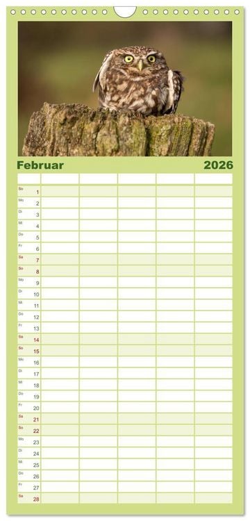 Produktbild: Familienplaner 2026 - Steink&auml;uze (Athene noctua) mit 5 Spalten (Wandkalender, 21 x 45 cm) CALVENDO
