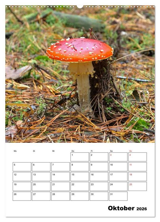 Produktbild: Heimische Waldpilze (Wandkalender 2026 DIN A2 hoch), CALVENDO Monatskalender
