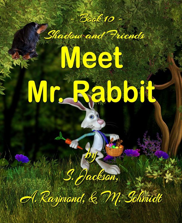 Produktbild: Shadow and Friends Meet Mr. Rabbit