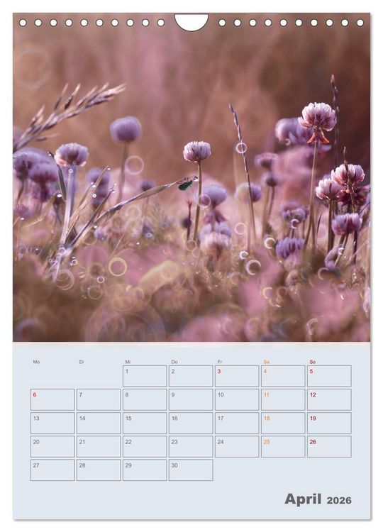 Produktbild: Magie im Garten (Wandkalender 2026 DIN A4 hoch), CALVENDO Monatskalender