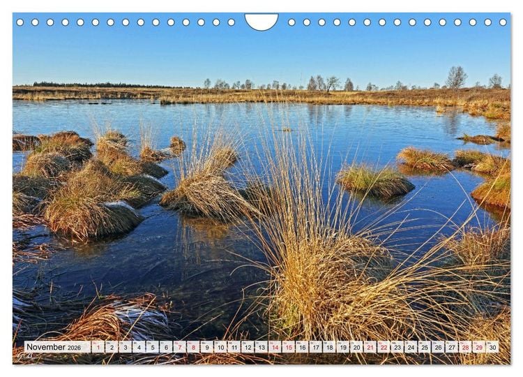 Produktbild: Die Eifel und das Hohe Venn (Wandkalender 2026 DIN A4 quer), CALVENDO Monatskalender