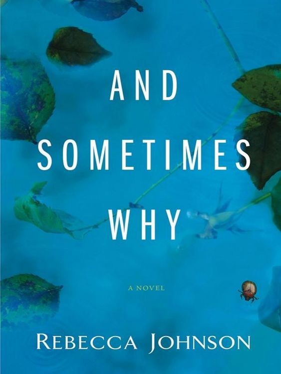 Produktbild: And Sometimes Why