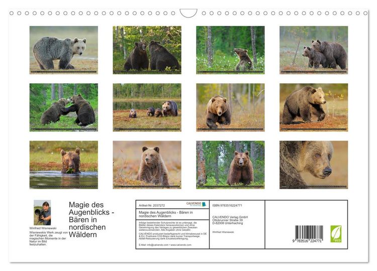 Produktbild: Magie des Augenblicks - B&auml;ren in nordischen W&auml;ldern (Wandkalender 2026 DIN A3 quer), CALVENDO Monatskalender
