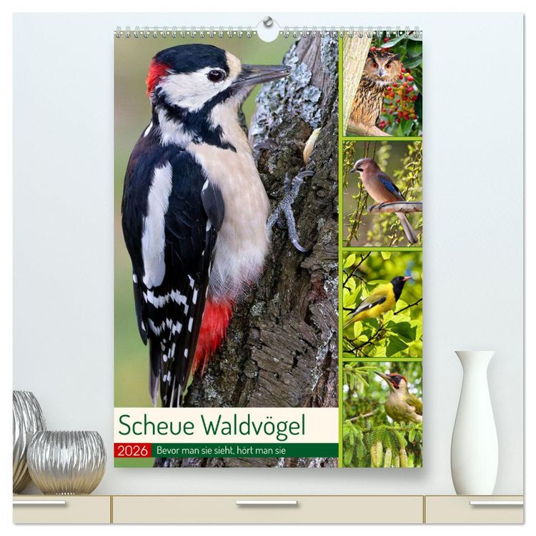 Produktbild: Scheue Waldv&ouml;gel (hochwertiger Premium Wandkalender 2026 DIN A2 hoch), Kunstdruck in Hochglanz