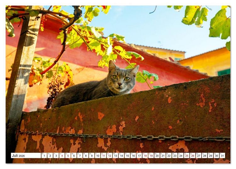 Produktbild: Eine traumhafte Insel Elba Genuss ohne Trubel (Tischkalender 2026 DIN A5 quer), CALVENDO Monatskalender