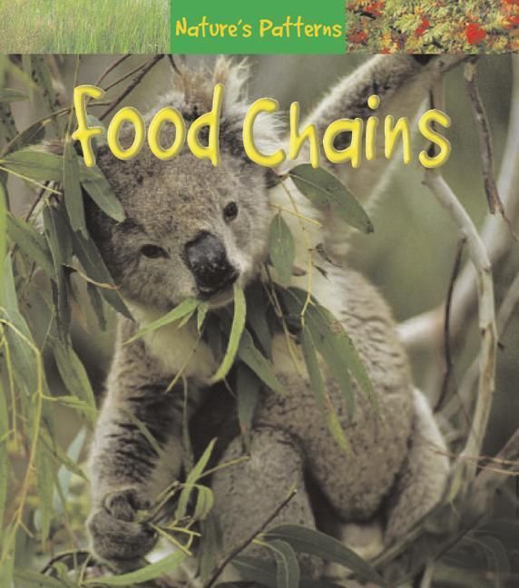 Produktbild: Food Chains