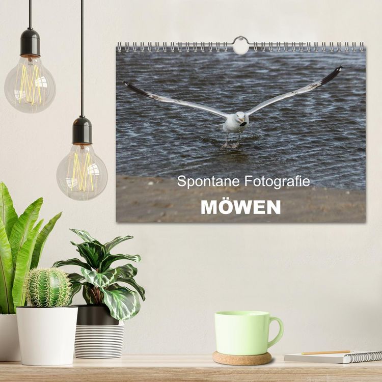 Produktbild: Spontane Fotografie - M&ouml;wen (Wandkalender 2026 DIN A4 quer), CALVENDO Monatskalender