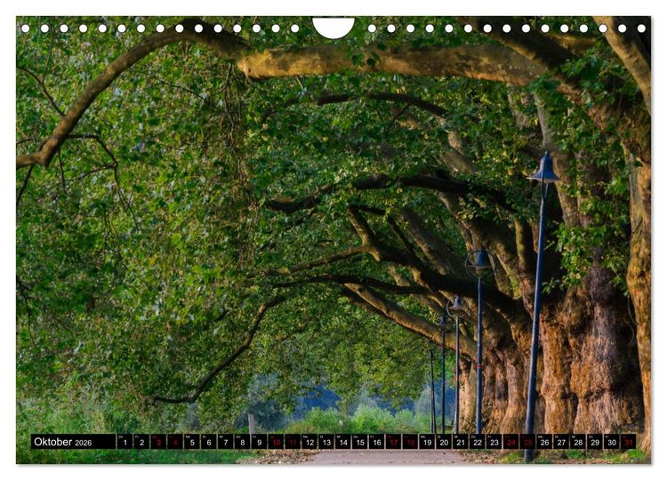 Produktbild: Ludwigshafen - Lebenswerte Stadt am Rhein (Wandkalender 2026 DIN A4 quer), CALVENDO Monatskalender