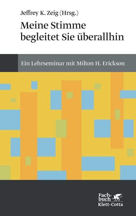 Produktbild: Meine Stimme begleitet Sie überall hin (Konzepte der Humanwissenschaften)