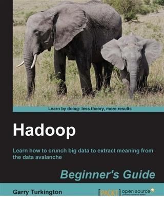 Produktbild: Hadoop Beginner's Guide