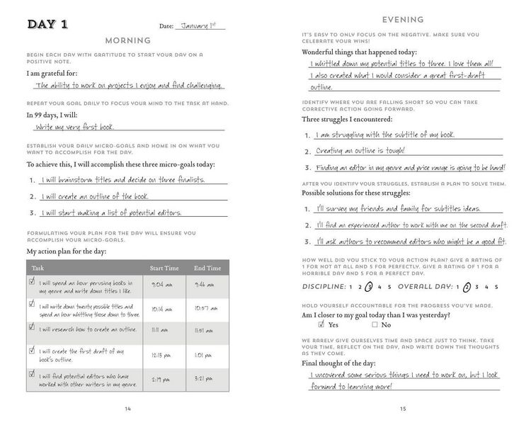 Produktbild: The 100-Day Goal Journal
