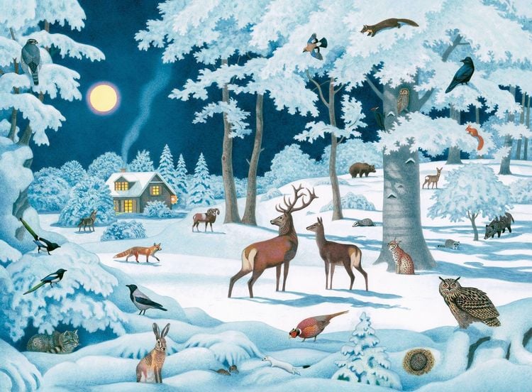 Produktbild: Wand-Adventskalender &ndash; Wintertiere bei Nacht