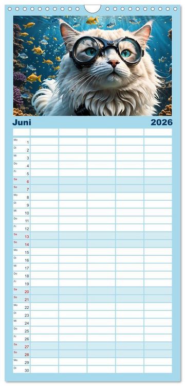 Produktbild: Familienplaner 2026 - Katzen unter Wasser mit 5 Spalten (Wandkalender, 21 x 45 cm) CALVENDO