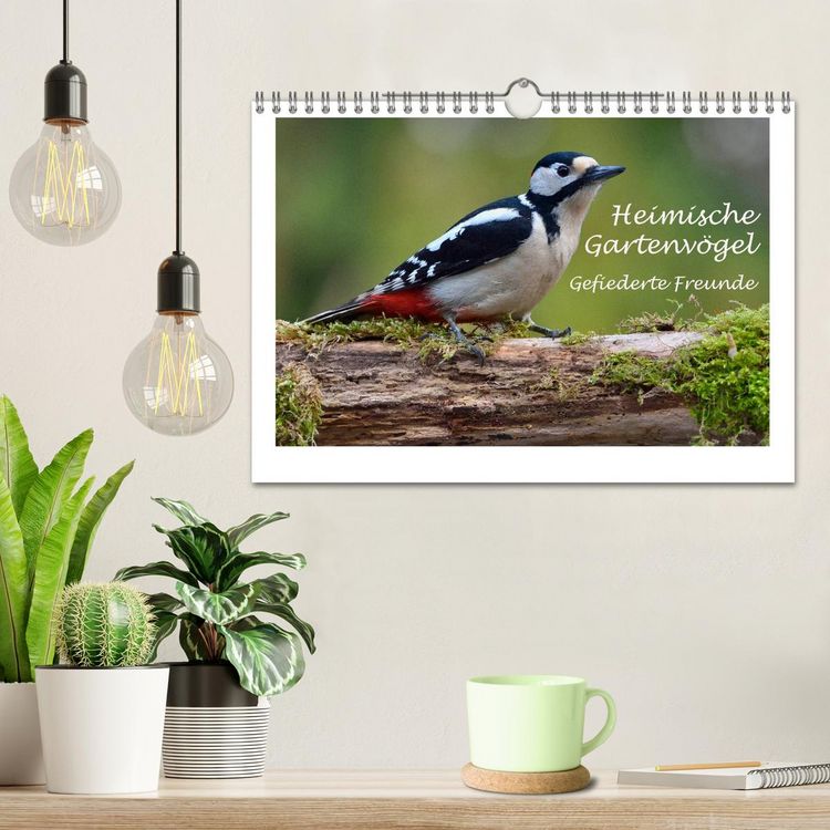 Produktbild: Heimische Gartenv&ouml;gel - Gefiederte Freunde (Wandkalender 2026 DIN A4 quer), CALVENDO Monatskalender