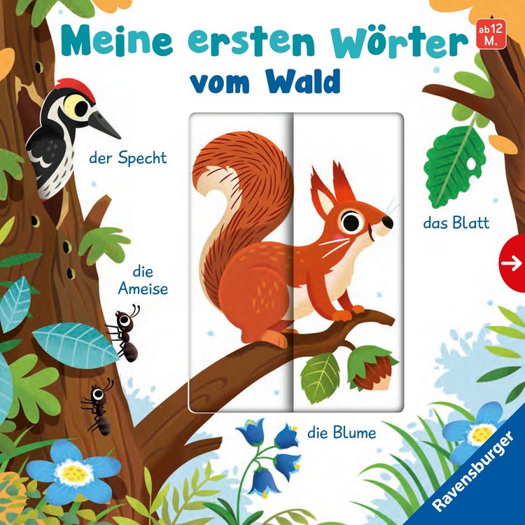 Produktbild: Meine ersten W&ouml;rter vom Wald (X)