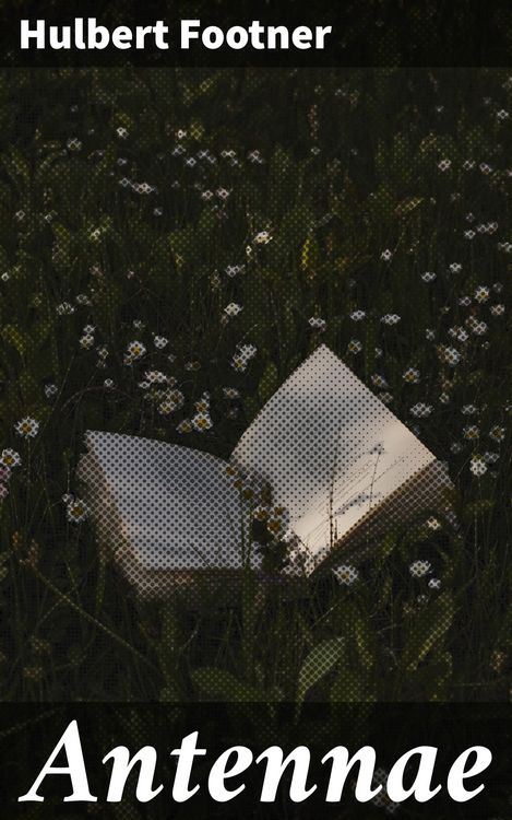 Produktbild: Antennae