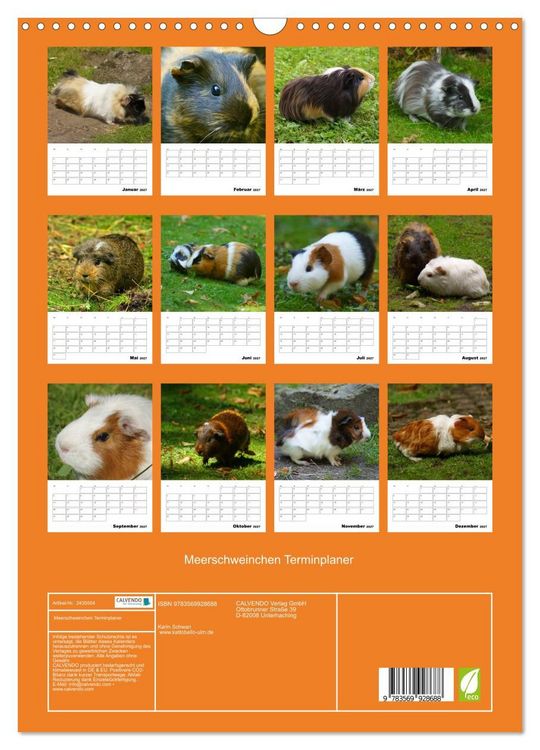 Produktbild: Meerschweinchen Terminplaner (Wandkalender 2027 DIN A3 hoch), CALVENDO Monatskalender