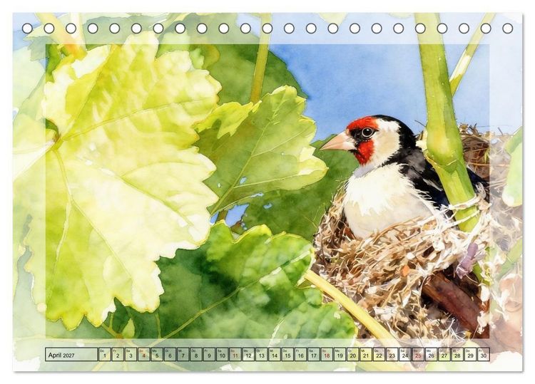 Produktbild: Zauberhaftes Nestgefl&uuml;ster (Tischkalender 2027 DIN A5 quer), CALVENDO Monatskalender