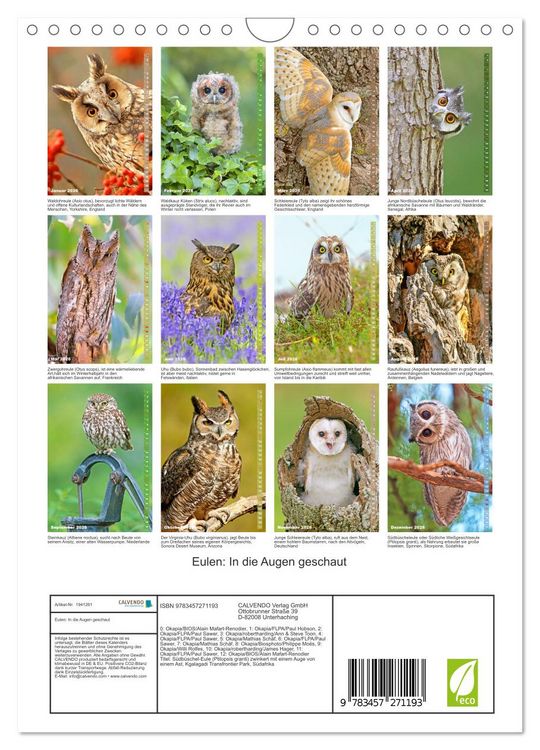 Produktbild: Eulen: In die Augen geschaut (Wandkalender 2026 DIN A4 hoch), CALVENDO Monatskalender