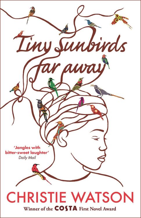 Produktbild: Tiny Sunbirds Far Away