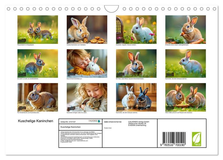 Produktbild: Kuschelige Kaninchen (Wandkalender 2026 DIN A4 quer), CALVENDO Monatskalender