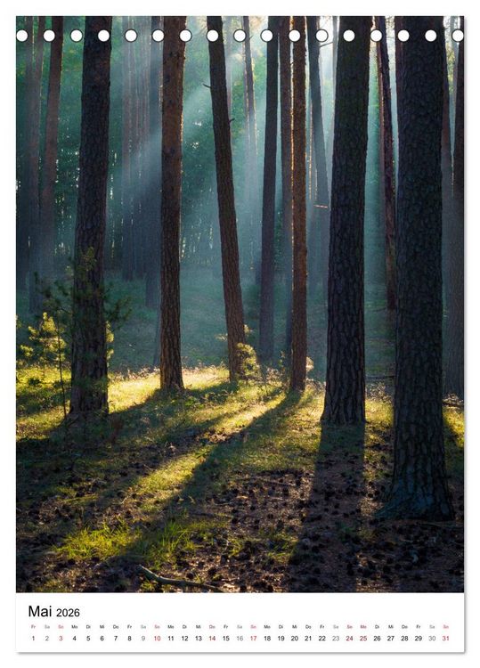 Produktbild: Der Harz - Malerische Orte (Tischkalender 2026 DIN A5 hoch), CALVENDO Monatskalender