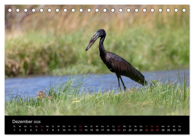 Produktbild: Naturerlebnis Botswana (Tischkalender 2026 DIN A5 quer), CALVENDO Monatskalender