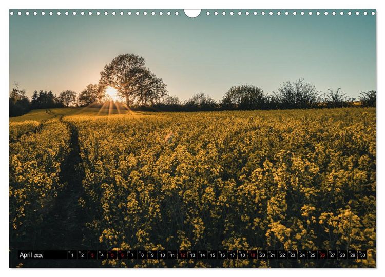 Produktbild: Das M&uuml;nsterland - Meine Impressionen (Wandkalender 2026 DIN A3 quer), CALVENDO Monatskalender