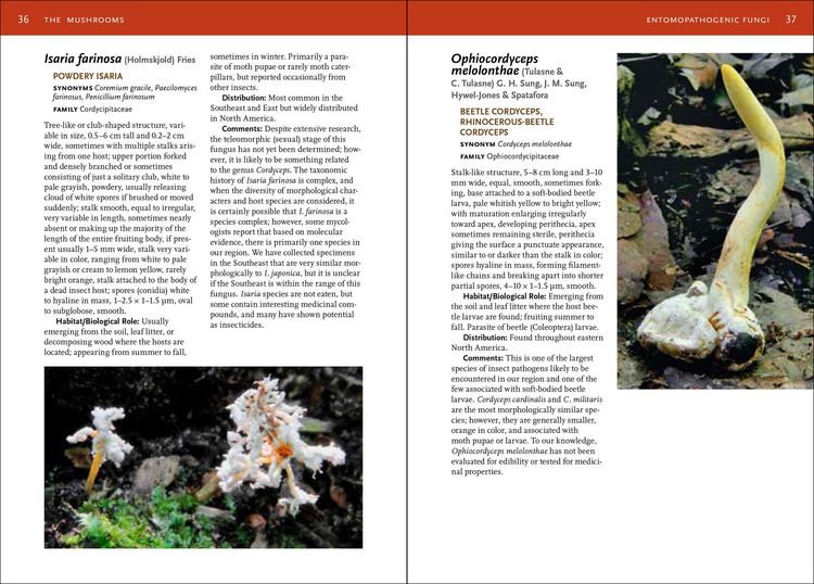Produktbild: Mushrooms of the Southeast