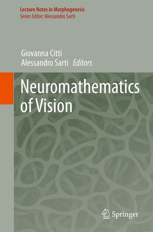 Produktbild: Neuromathematics of Vision