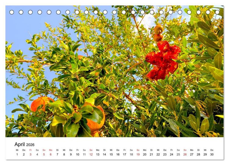 Produktbild: Wandern auf Menorca (Tischkalender 2026 DIN A5 quer), CALVENDO Monatskalender