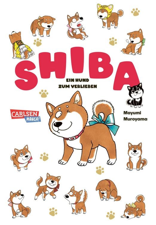Produktbild: Shiba - Ein Hund zum Verlieben