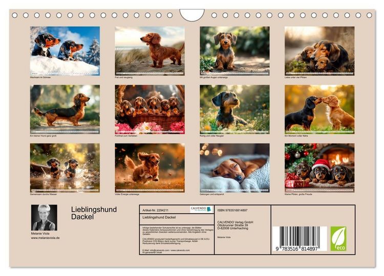 Produktbild: Lieblingshund Dackel (Wandkalender 2027 DIN A4 quer), CALVENDO Monatskalender