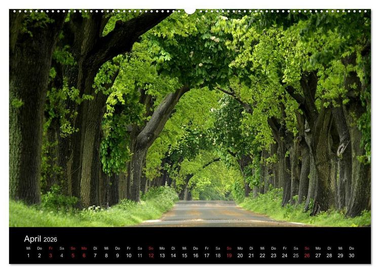Produktbild: Traumhafte Ostseek&uuml;ste (Wandkalender 2026 DIN A2 quer), CALVENDO Monatskalender