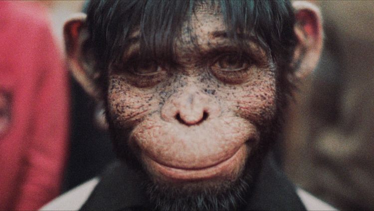 Produktbild: Better Man - Die Robbie Williams Story (4K Ultra HD) (+ Blu-ray)
