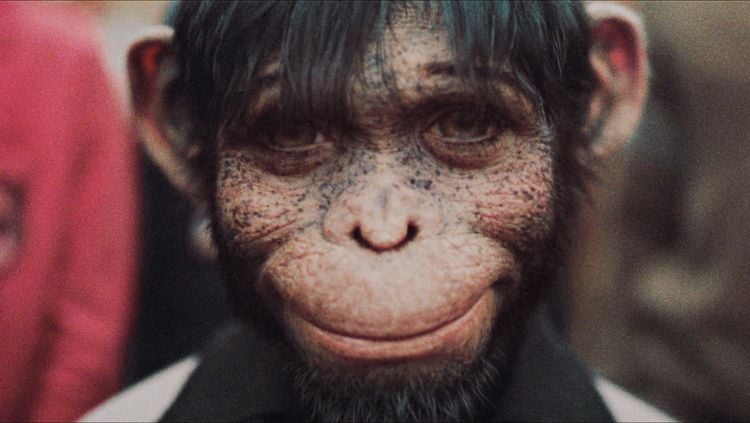 Produktbild: Better Man - Die Robbie Williams Story