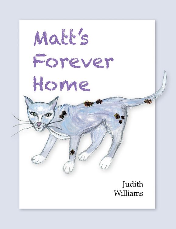 Produktbild: Matt's Forever Home
