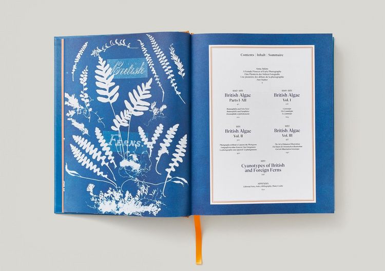 Produktbild: Anna Atkins