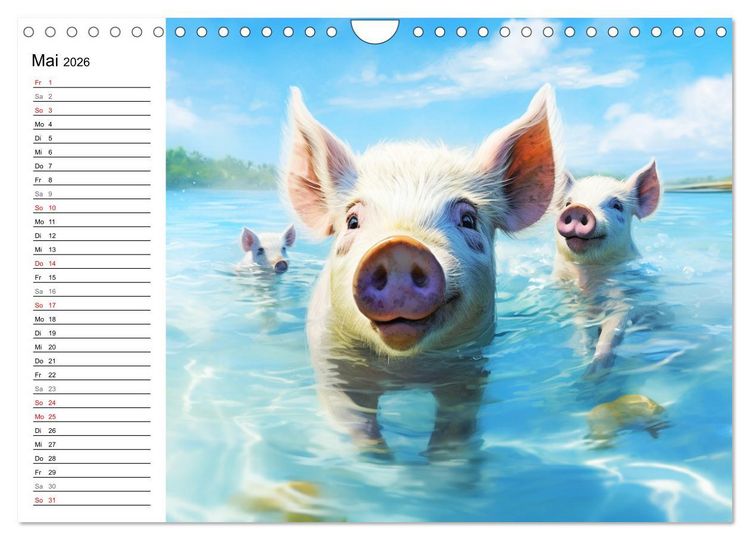 Produktbild: Schweinereien in der Karibik. Sonne und Spa&szlig; mit schwimmenden Schweinen (Wandkalender 2026 DIN A4 quer), CALVENDO Monatskalender