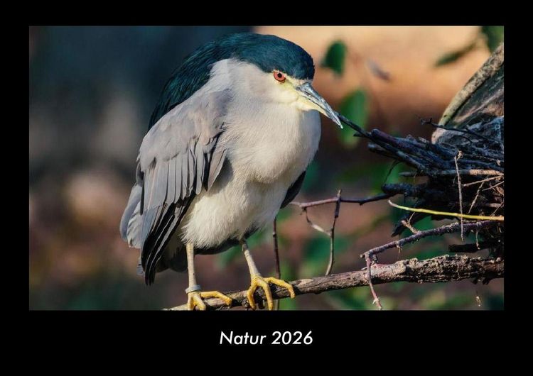 Produktbild: Natur 2026 Fotokalender DIN A3