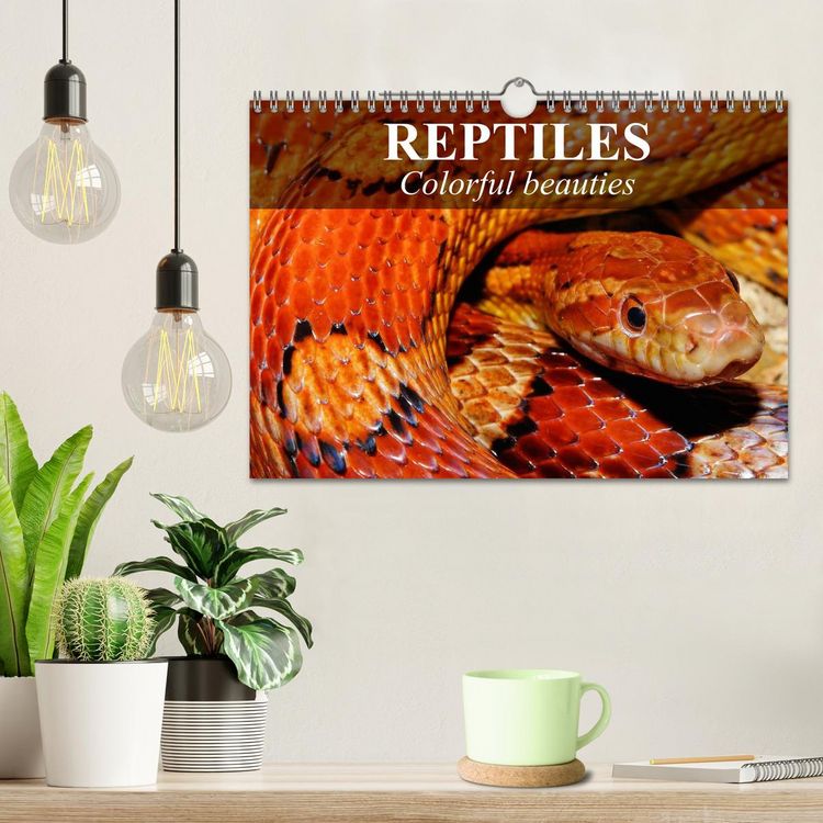 Produktbild: Reptiles Colorful beauties (Wall Calendar 2026 DIN A4 landscape), CALVENDO 12 Month Wall Calendar