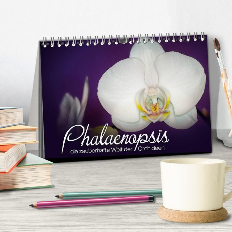Produktbild: Phalaenopsis - die zauberhafte Welt der Orchideen (Tischkalender 2026 DIN A5 quer), CALVENDO Monatskalender